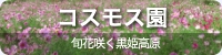 旬花咲く黒姫高原