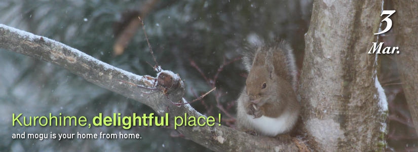 kurohime.delightful place