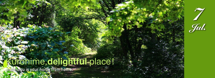 kurohime.delightful place